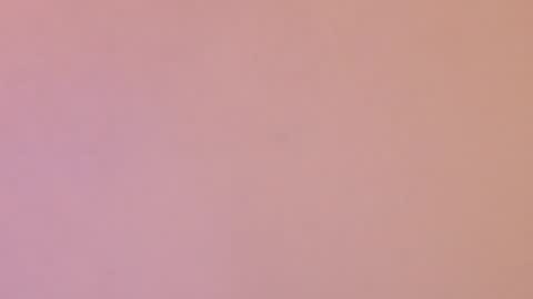 daiki sx online show from 17, 1, 2025