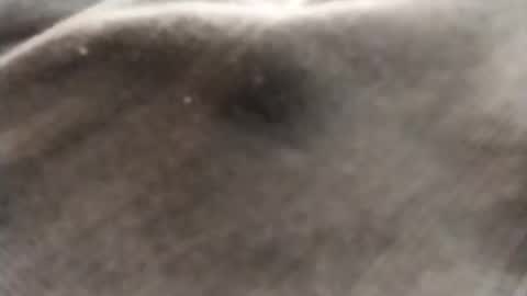 Snapshot of dlov3 chatting on 8, 2, 2026 dlov3 online show from 8, 2, 2026