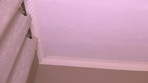 DMAN online show from 10, 12, 2024