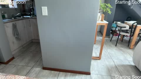 Snapshot of dmitirdarko chatting on 11, 4, 2026 Dmitri online show from 11, 4, 2026