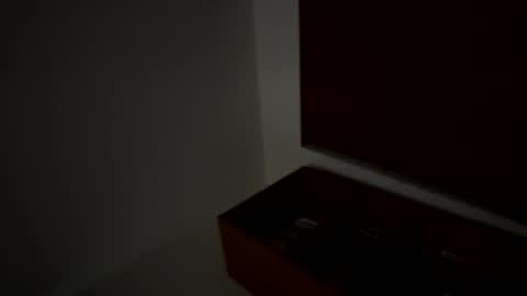 Snapshot of dnice69968127 chatting on 11, 1, 2026 dnice69968127 online show from 11, 1, 2026