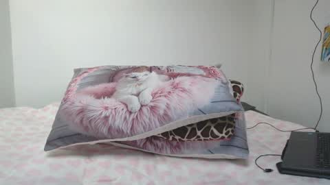 Dolcevainin online show from 2, 4, 2026