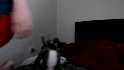 Snapshot of doll_sary chatting on 8, 2, 2025 Catherine XXX online show from 8, 2, 2025