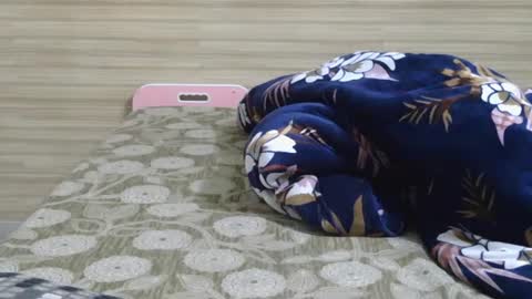 dolly_2 online show from 6, 2, 2025