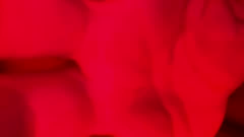 Alzest online show from 17, 11, 2025