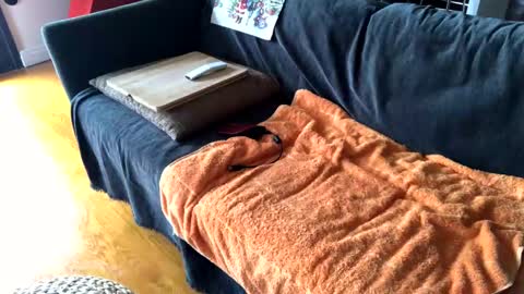 Alfredo online show from 3, 12, 2024