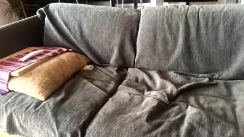 Alfredo online show from 14, 1, 2025