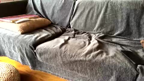 Alfredo online show from 9, 2, 2025