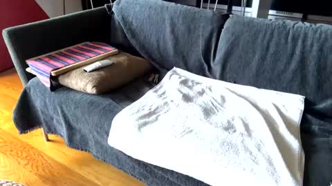 Alfredo online show from 17, 2, 2025