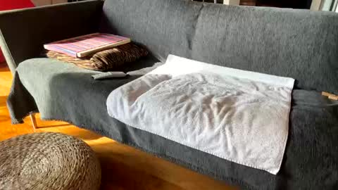 Alfredo online show from 3, 12, 2025