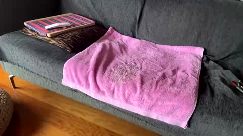 Snapshot of donizetti2017 chatting on 13, 2, 2026 Alfredo online show from 13, 2, 2026