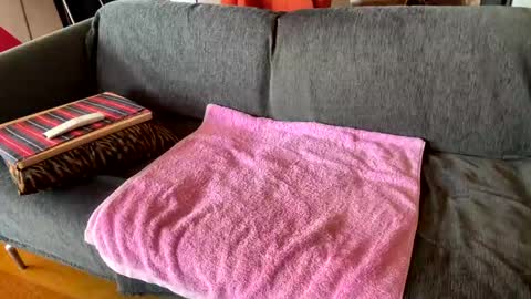 Alfredo online show from 6, 4, 2026