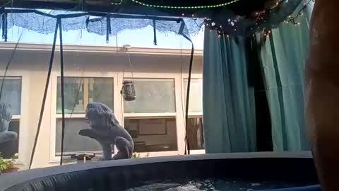 Snapshot of doobie1717 chatting on 28, 9, 2025 doobie1717 online show from 28, 9, 2025