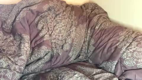 dove_love22 online show from 22, 10, 2025