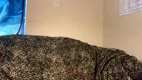 dove_love22 online show from 30, 11, 2025