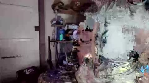 Snapshot of dpirated1 chatting on 8, 4, 2026 MrPirated online show from 8, 4, 2026