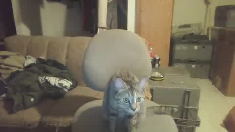 Snapshot of drac2009 chatting on 28, 1, 2025 drac2009 online show from 28, 1, 2025