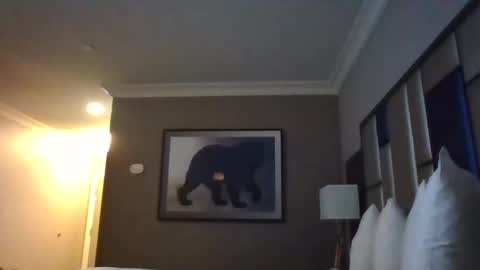 Snapshot of dreadedchefloxxx chatting on 3, 3, 2025 DreadedChefLoXXX online show from 3, 3, 2025