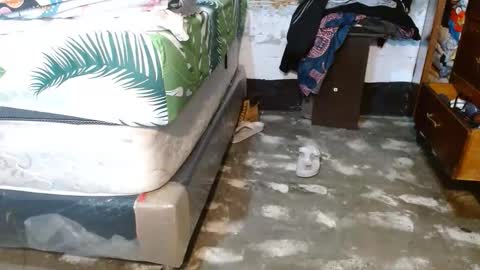 dreamreal online show from 18, 3, 2026