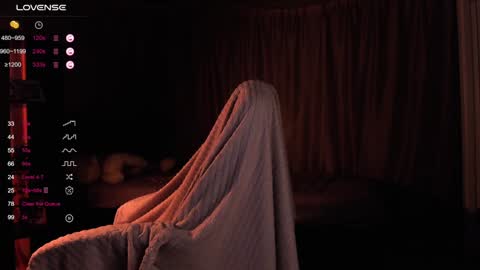 Snapshot of dreamaise chatting on 13, 12, 2024  Mary   pvt open    use pink and blue app lovense online show from 13, 12, 2024