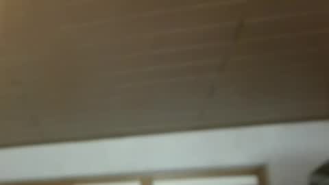 Dreambob online show from 21, 12, 2025