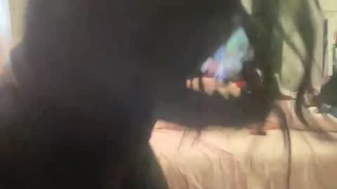 dreamtiffyxxx online show from 14, 1, 2026