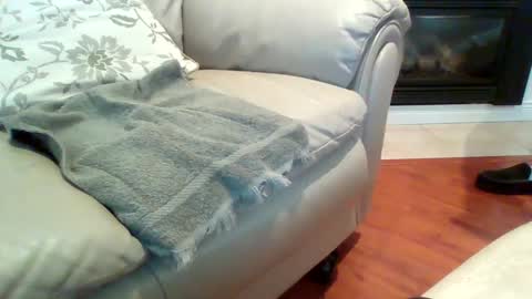 drexx1x online show from 24, 12, 2024