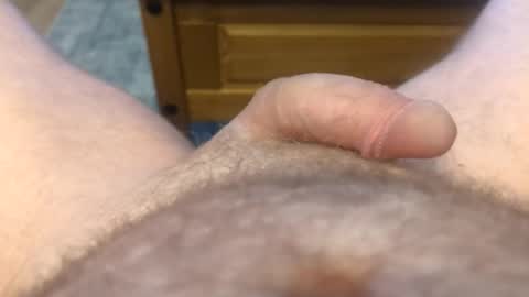 drippingrabbit online show from 8, 4, 2026