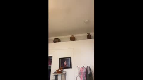 Drippy kitty  online show from 15, 3, 2026