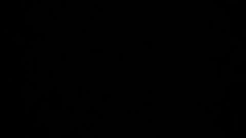 Dreamie online show from 5, 12, 2024