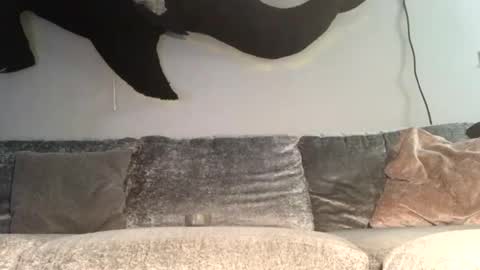 Snapshot of drobbb656 chatting on 27, 3, 2026 2xTheTrouble online show from 27, 3, 2026