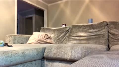 Snapshot of drobbb656 chatting on 16, 4, 2026 2xTheTrouble online show from 16, 4, 2026