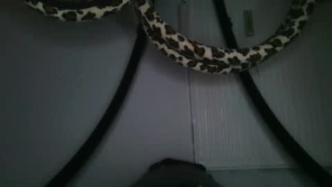 drolyts online show from 25, 2, 2026