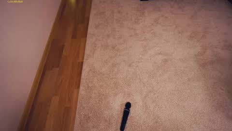 Polly day and Amelia night online show from 7, 3, 2025