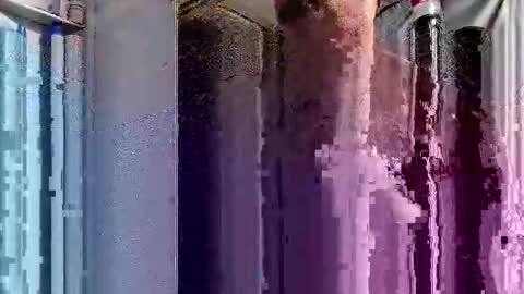 dsmock online show from 1, 10, 2025