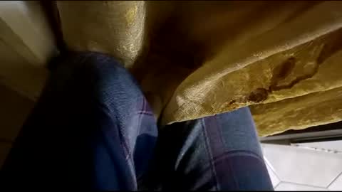 Snapshot of dthedog12 chatting on 12, 3, 2025 dthedog12 online show from 12, 3, 2025