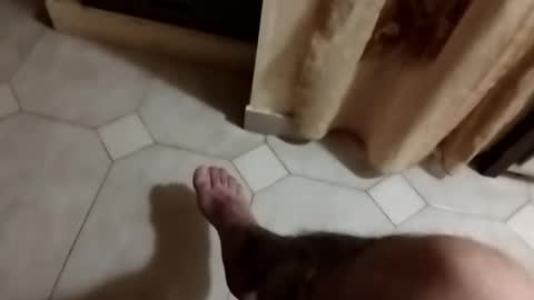 Snapshot of dthedog12 chatting on 23, 9, 2025 dthedog12 online show from 23, 9, 2025