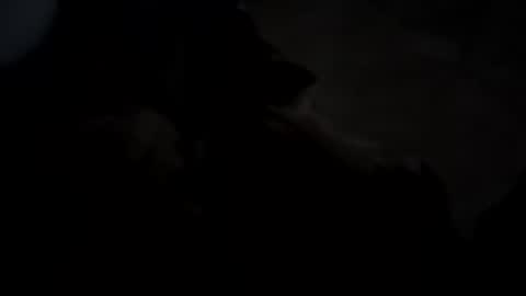 Snapshot of dthedog12 chatting on 5, 10, 2025 dthedog12 online show from 5, 10, 2025