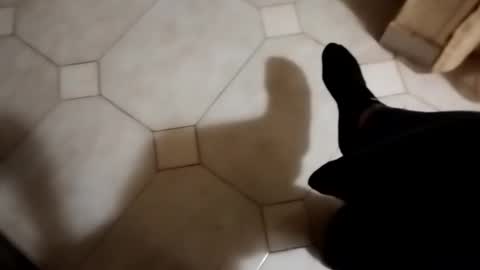 Snapshot of dthedog12 chatting on 22, 10, 2025 dthedog12 online show from 22, 10, 2025