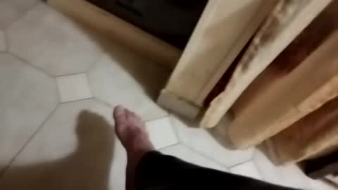 Snapshot of dthedog12 chatting on 8, 11, 2025 dthedog12 online show from 8, 11, 2025