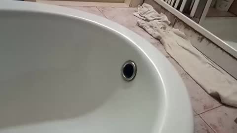 Snapshot of dthedog12 chatting on 9, 11, 2025 dthedog12 online show from 9, 11, 2025