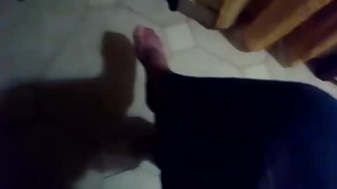 Snapshot of dthedog12 chatting on 25, 11, 2025 dthedog12 online show from 25, 11, 2025