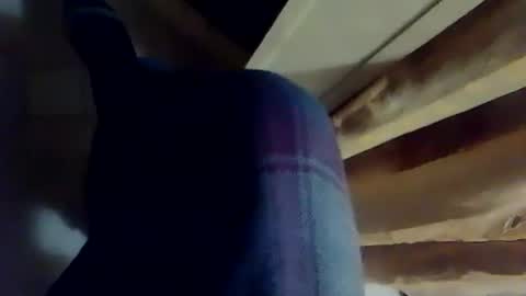 Snapshot of dthedog12 chatting on 3, 12, 2025 dthedog12 online show from 3, 12, 2025