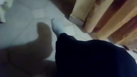 Snapshot of dthedog12 chatting on 13, 12, 2025 dthedog12 online show from 13, 12, 2025