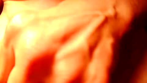 Snapshot of duh541228490531 chatting on 8, 2, 2025 nomadjon online show from 8, 2, 2025