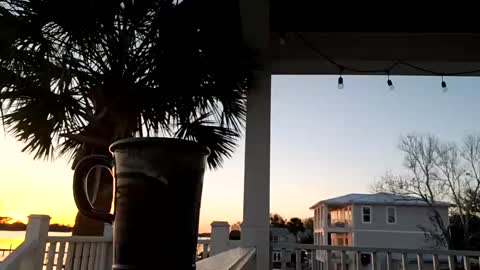 Snapshot of duke_lordly chatting on 11, 3, 2025 duke_lordly online show from 11, 3, 2025