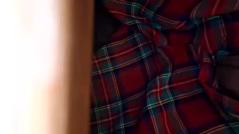 Snapshot of dvelope chatting on 8, 11, 2025 dVe1oPe online show from 8, 11, 2025