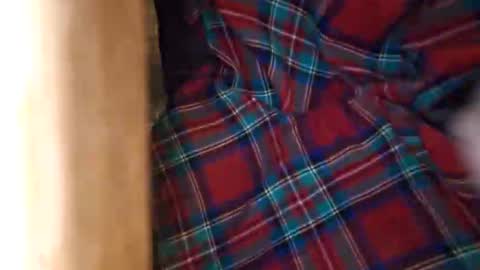 Snapshot of dvelope chatting on 21, 3, 2026 dVe1oPe online show from 21, 3, 2026