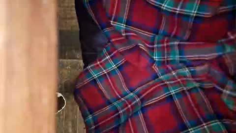 Snapshot of dvelope chatting on 11, 4, 2026 dVe1oPe online show from 11, 4, 2026