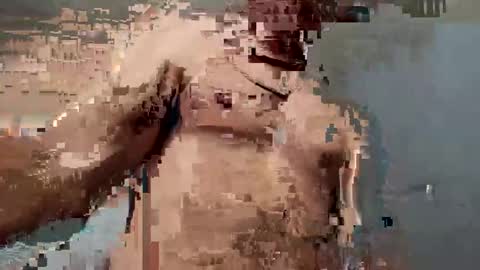 Snapshot of dvsshoes12 chatting on 12, 10, 2025 dvsshoes12 online show from 12, 10, 2025